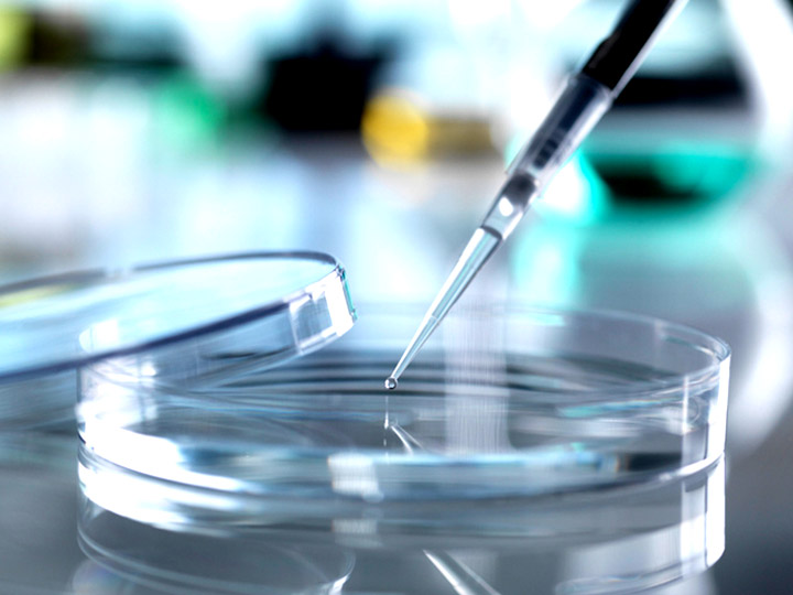 (i) Natural Sciences COVID-19 academic research grant