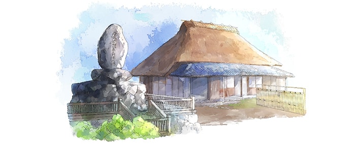 Origin image