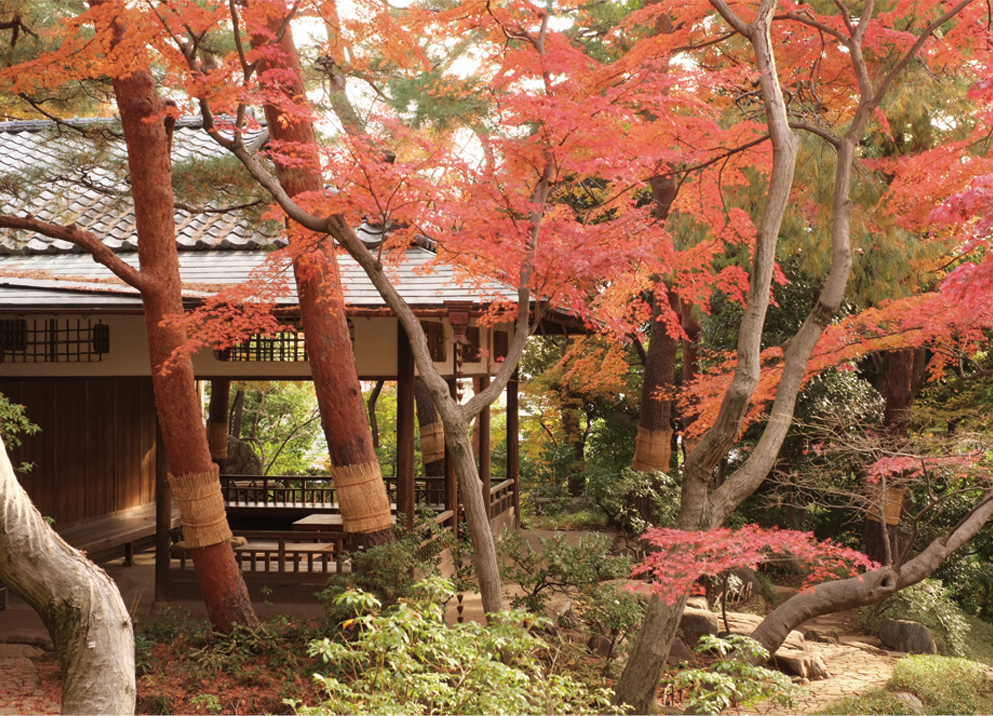 Tonogayato Gardens