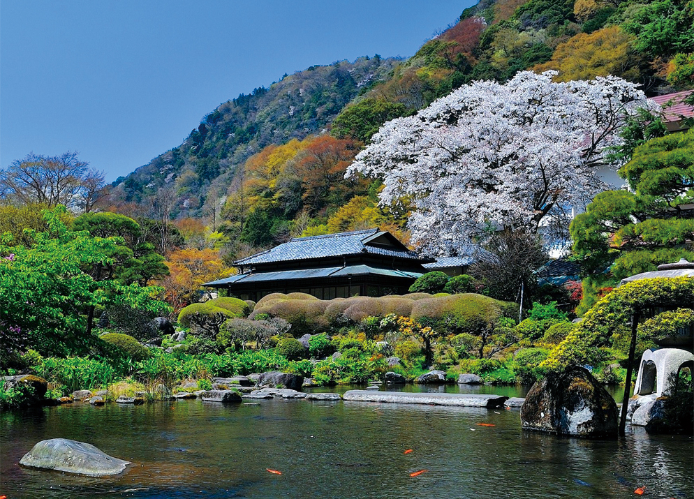 Hakone Yumoto Yoshiike Ryokan