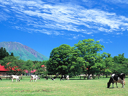 Koiwai Farm
