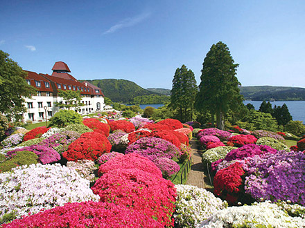 Hotel de YAMA