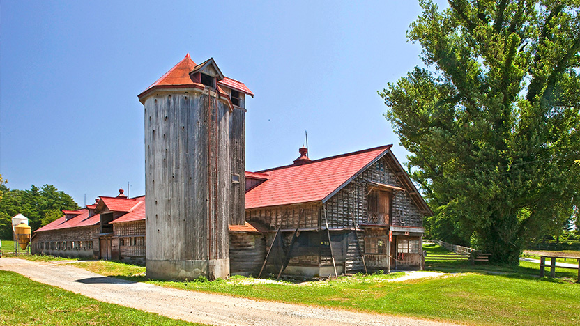 公益財団法人 小岩井農場財団 イメージ