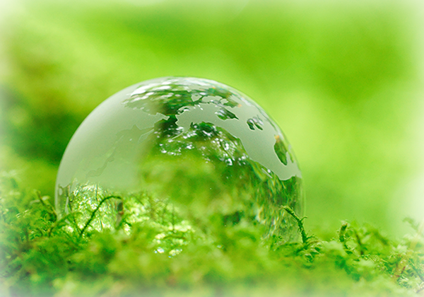 社会・文化活動 イメージ