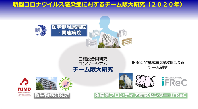 新型コロナウイルス感染症に対するチーム阪大研究。基礎免疫学・臨床医学・ウイルス学の三位一体の研究体制を構築し、新型コロナウイルスの病態を解明する。※三菱財団 成果報告会講演資料より（提供：大阪大学）