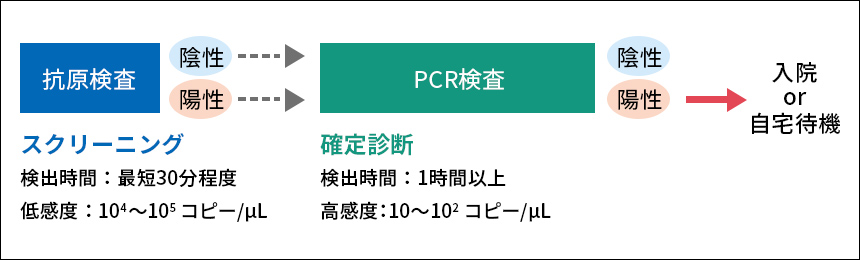 【写真1】従来の新型コロナウイルス感染症の診断法（ウイルスRNA量を検出）。抗原検査はスクリーニング用として行われ、その次にPCR検査によって診断が確定される。