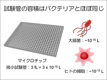 【写真3】半導体製造プロセスと同じフォトリソグラフィで造形されたマイクロチップ。