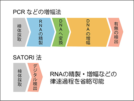 【写真8】従来型の増幅法とSATORI法の違い。SATORI法では、RNAの精製や、DNAへの変換・増幅といったプロセスがないため、そのぶん迅速に検査が行える。
