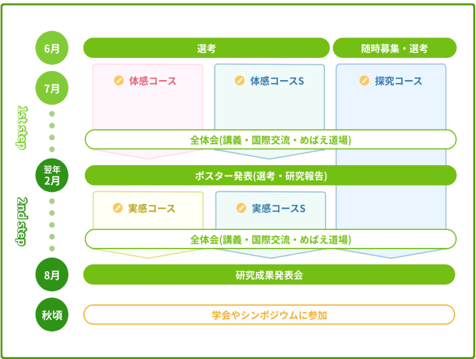 ※1st stepの開始時期、2nd stepの終了時期は年度によって前後する場合があります