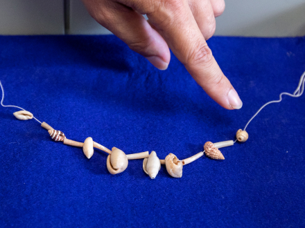 発掘した貝殻ビーズをつないだもの。紅海と地中海から運ばれてきた貝殻で、穴が開いている。穴のまわりを電子顕微鏡でみると、糸のあたる部分が特に擦れているため、糸でつるしたことは、ほぼ間違いないという。