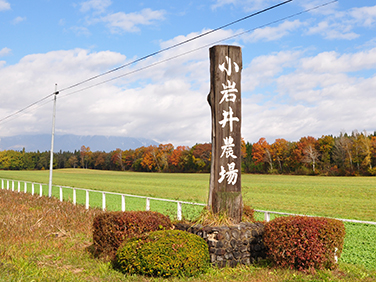 小岩井農場