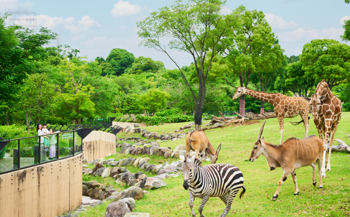 メインビジュアル