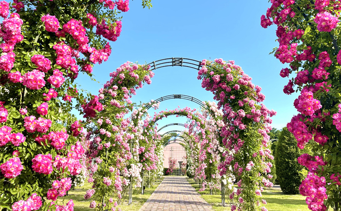 メインビジュアル