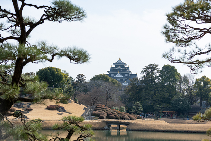 ご当地情報 メインビジュアル